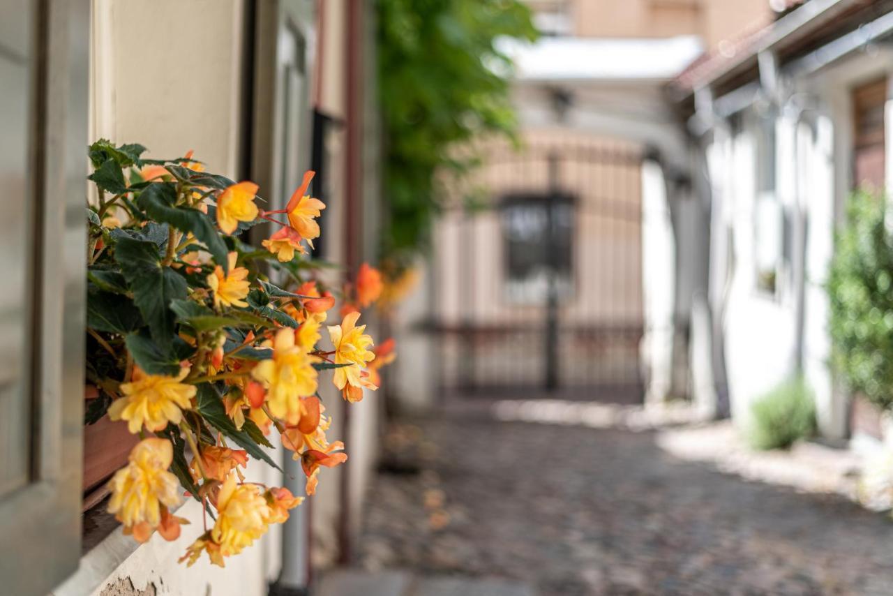 Sun Lighted Cathedral Square Studio Apartment Вилнюс Екстериор снимка